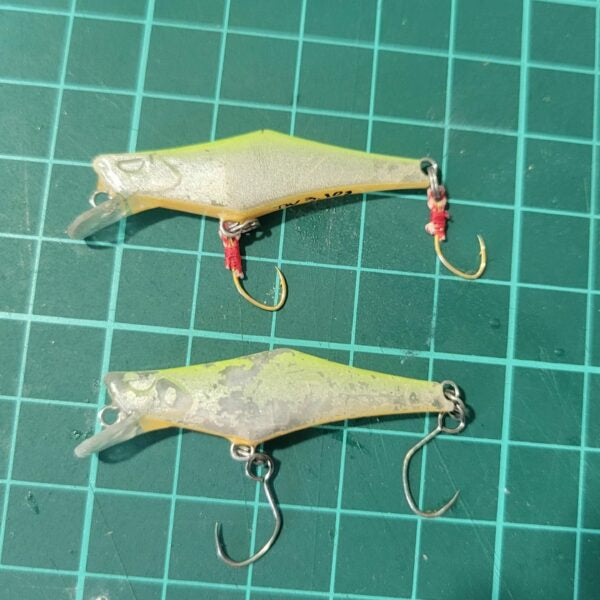 Lure under development 1 IGNA42S